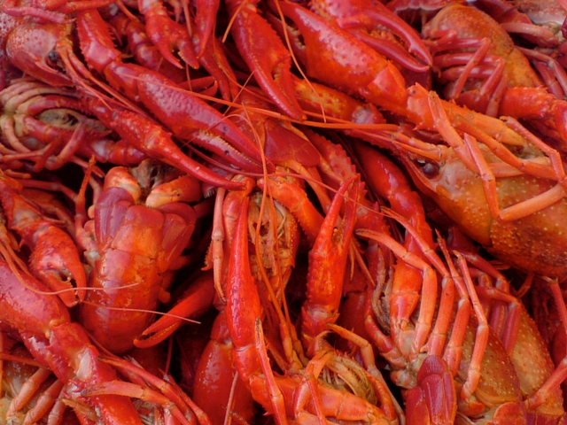 Read on to learn where to get boiled crawfish in the French Quarter. (Photo courtesy Karl Baron on Flickr)