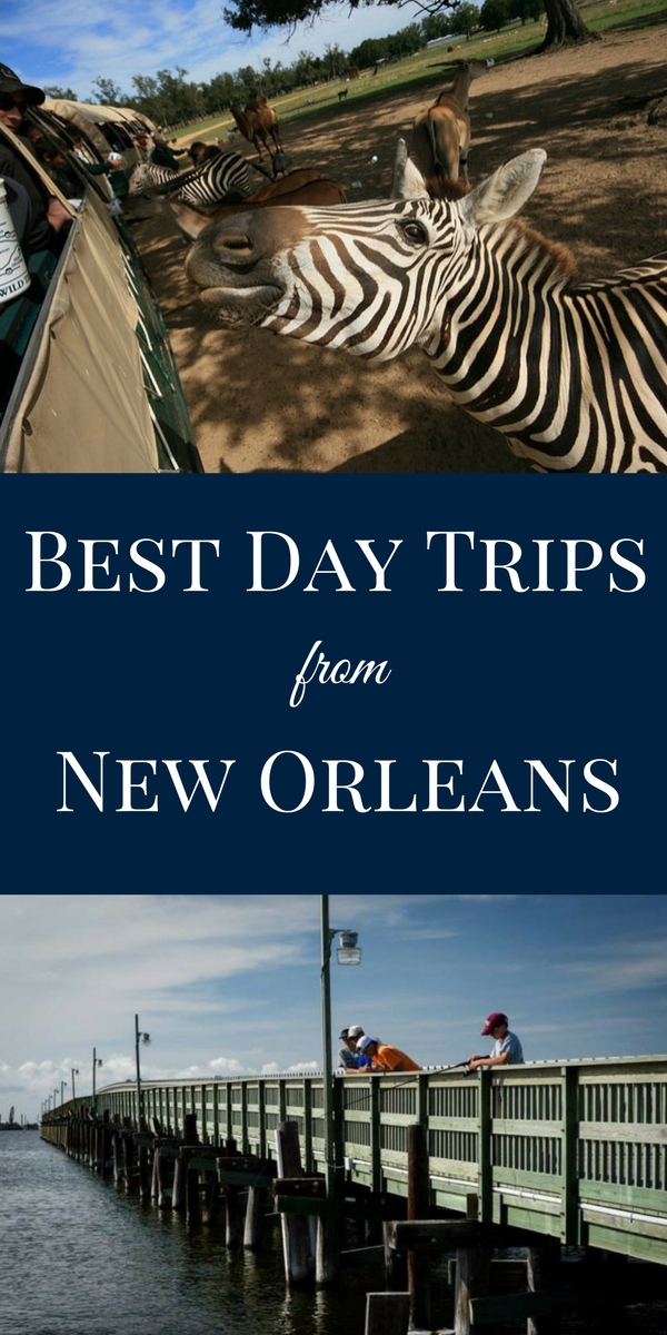 Ready to see exotic animals, take a walk on the beach or sample craft beer? Try one of these quick day trips from New Orleans.