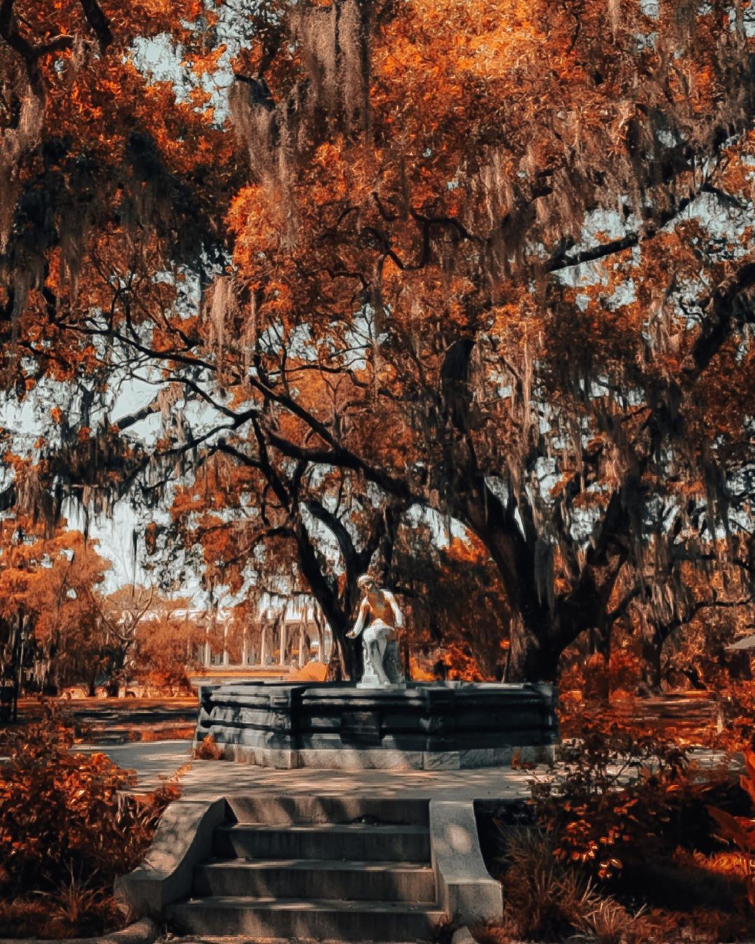 Colorful autumn leaves adorn City Park in New Orleans